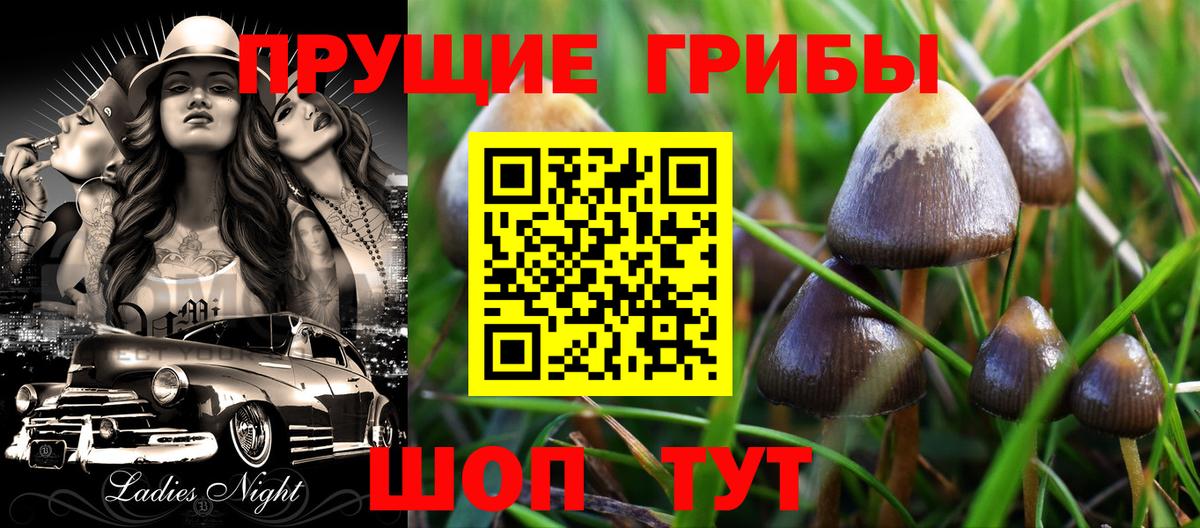 Урюпинск  Галлюциногенные грибы мухоморы  Вход с VPN  Галлюциногенные грибы Psilocybe 